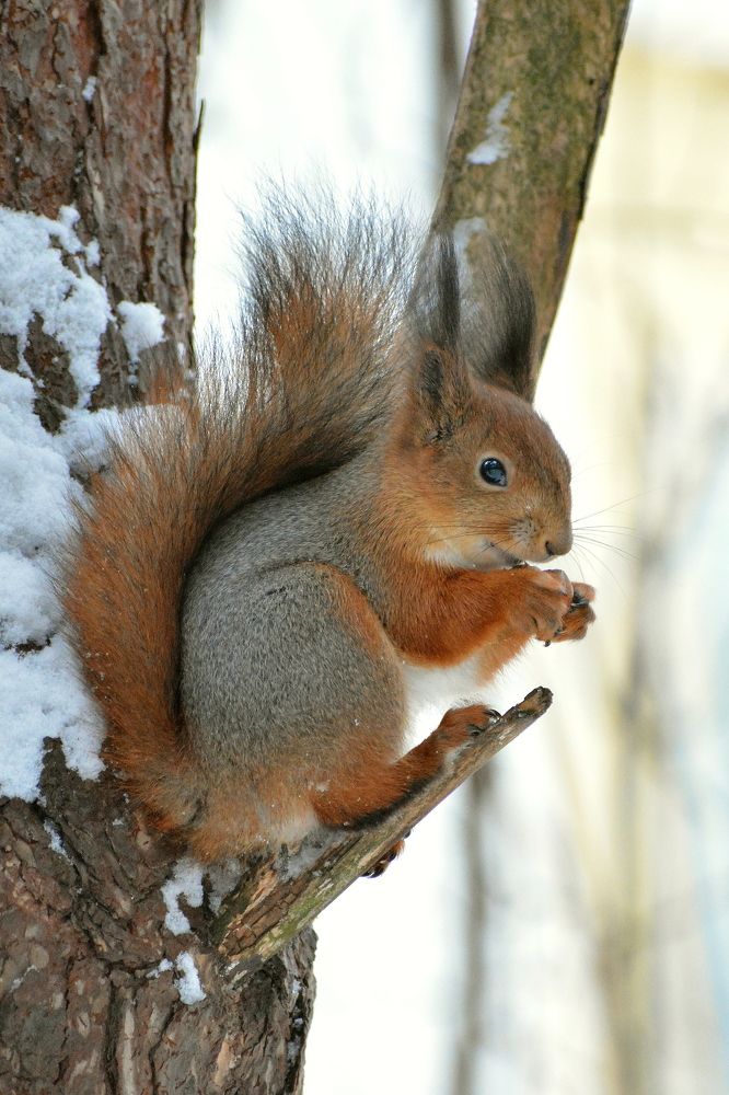 Photograph by Владислав Иопек