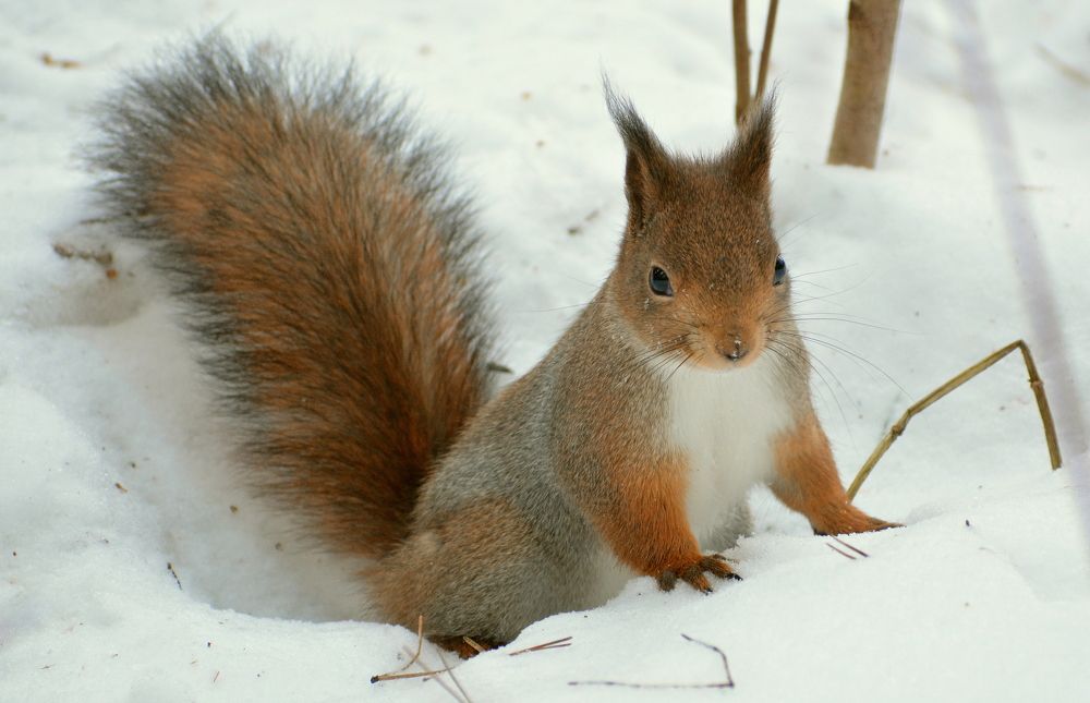 Photograph by Владислав Иопек