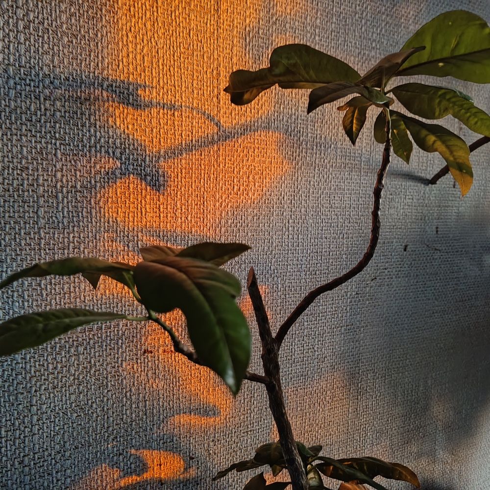 Photograph by Елизавета Загудаева