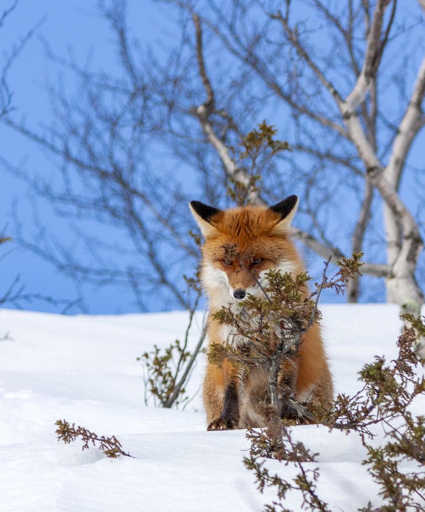 Photograph by Татьяна Раковская