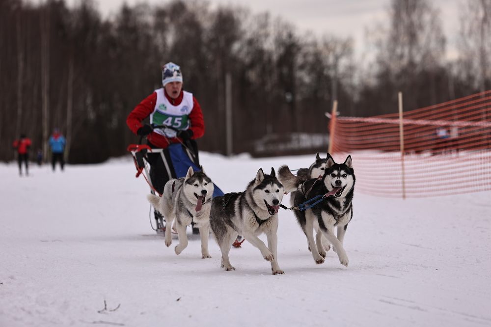 Photograph by Елена Одынец