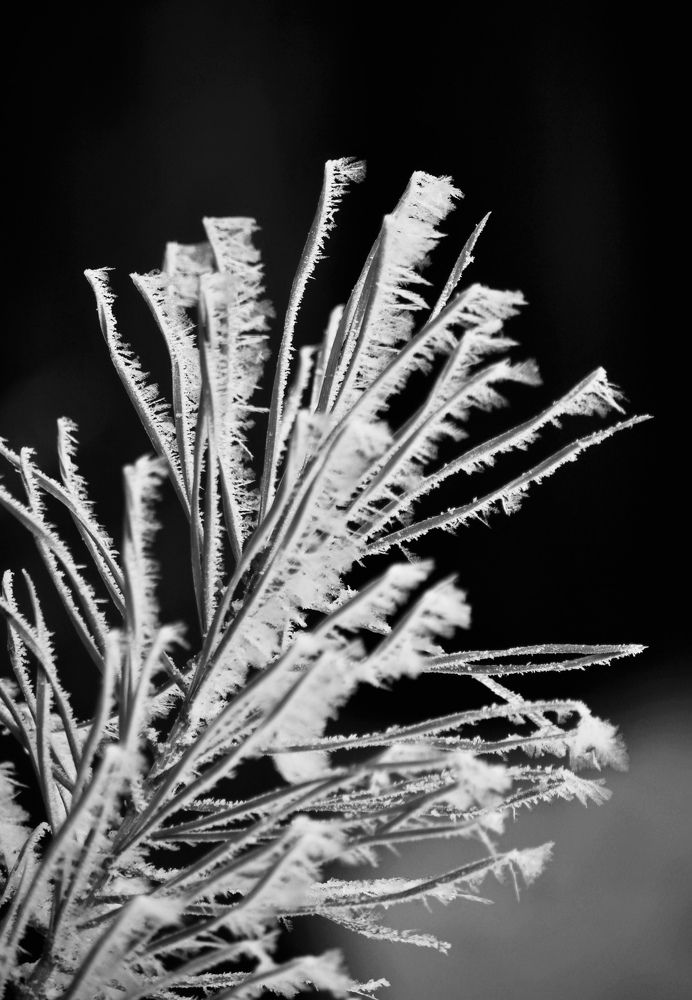 Photograph by Марина Мишутина