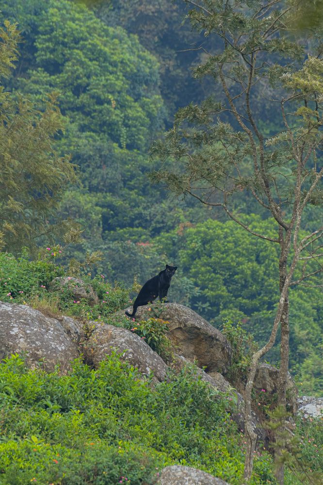 Photograph by Mohan raj