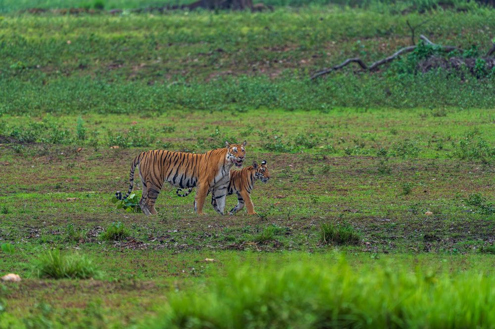Photograph by Mohan raj