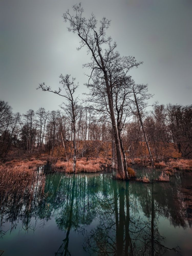 Photograph by Andrei Naliahach