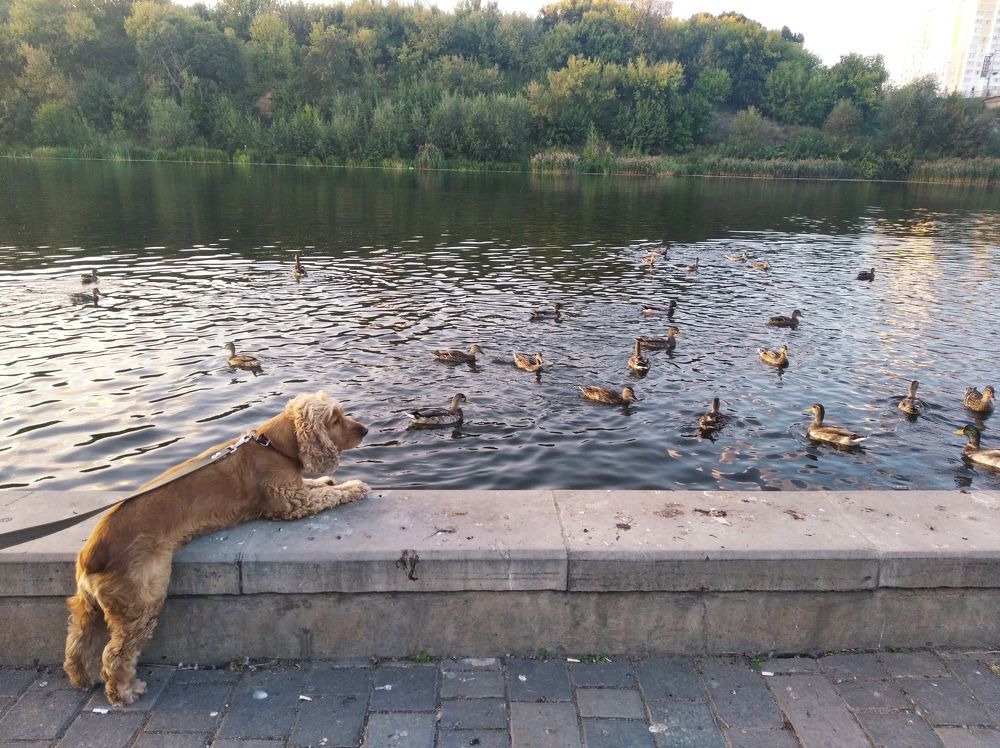 Photograph by Надежда Болтунова