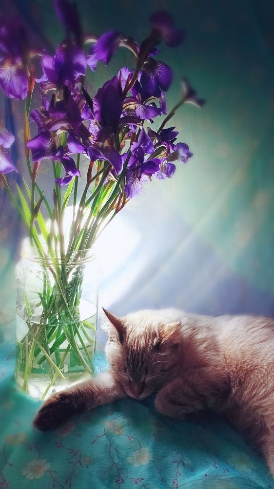 Photograph by Олеся Лосыгина