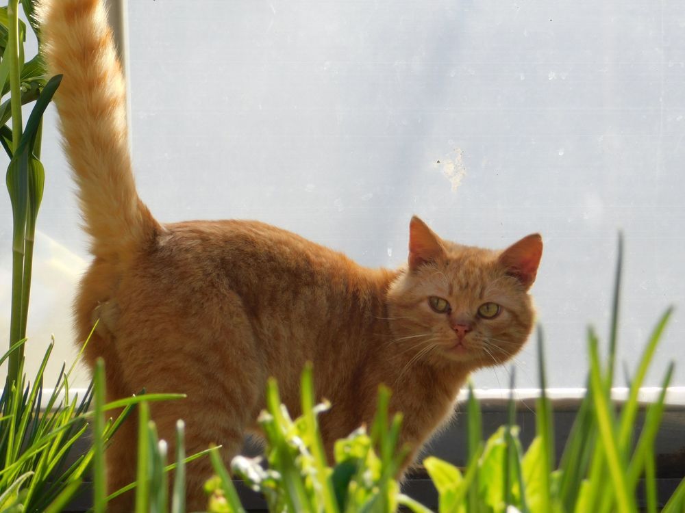 Photograph by Aliaksei Sauko