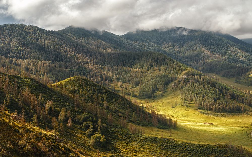 Photograph by Vyacheslav Bolyakin