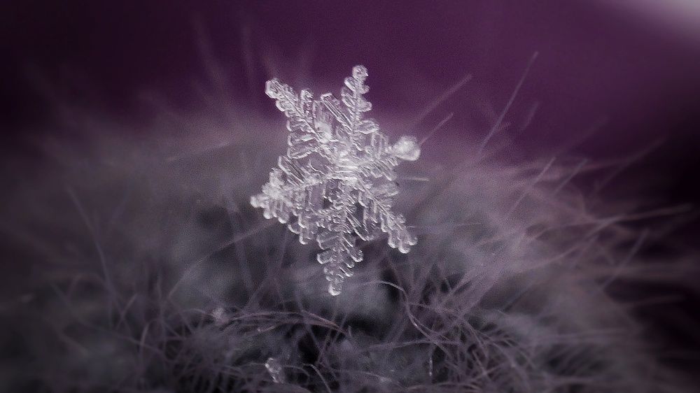 Photograph by Елена Силантьева