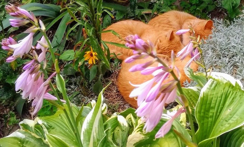 Photograph by Aliaksei Sauko