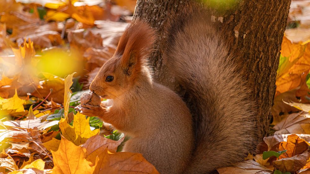 Фотография автора Виталий Панченко