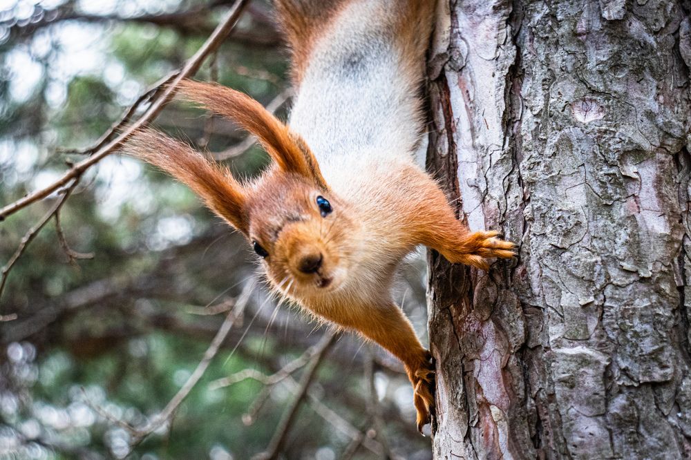 Фотография автора Виталий Панченко