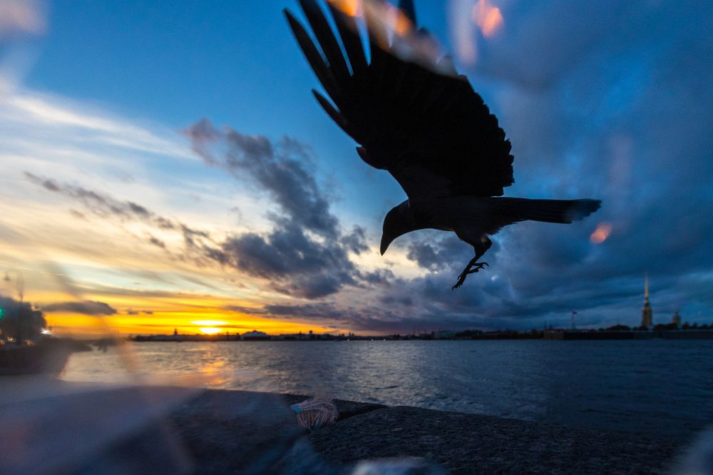 Photograph by Anna Shevardina