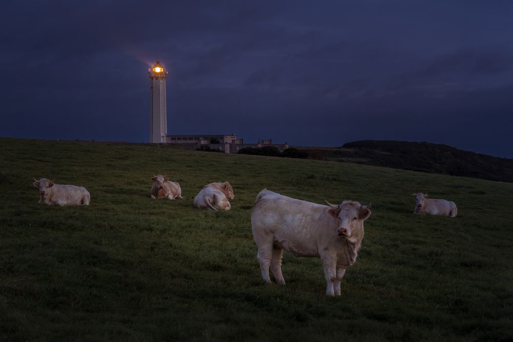 Photograph by Шимаковский Юрий