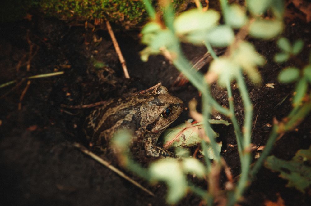 Photograph by Алексей