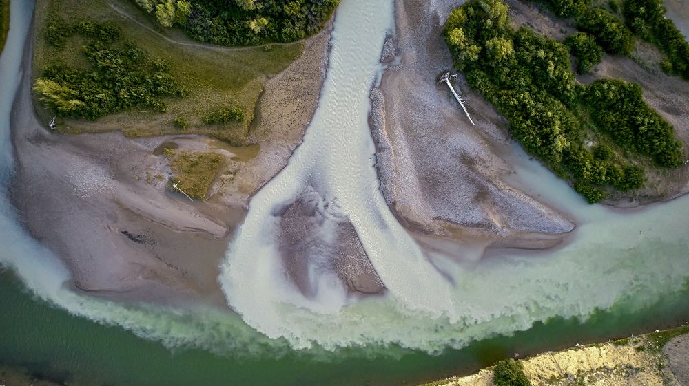 Фотография автора Totoro D