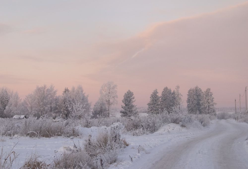 Фотография автора Наталья Липовская