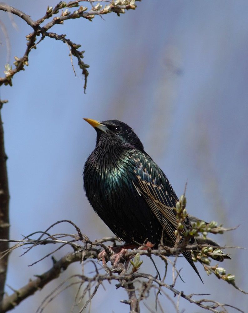 Photograph by Пастен