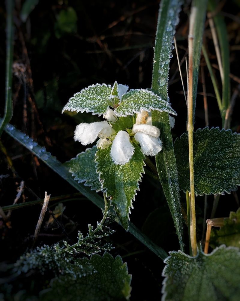 Photograph by Степан Пастен