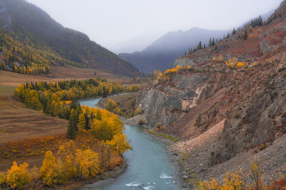 Чуя у Белого Бома