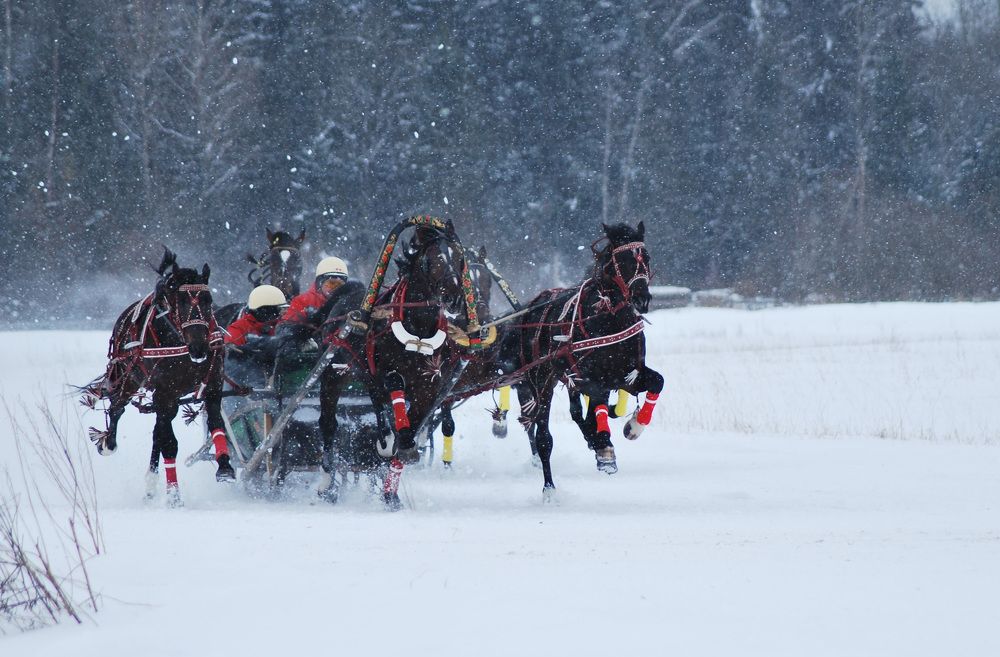 Фотография автора Наталья Липовская