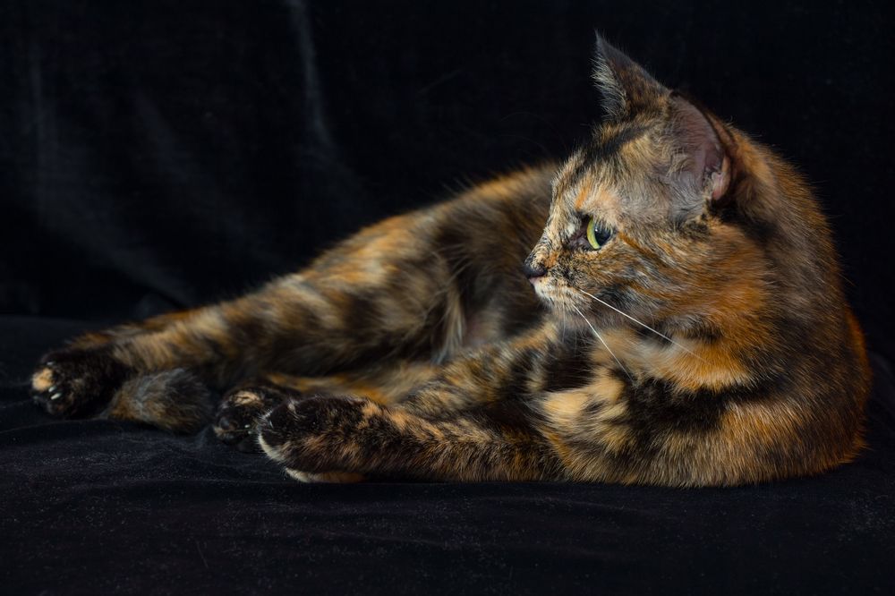 Photograph by Сергей Алексеев