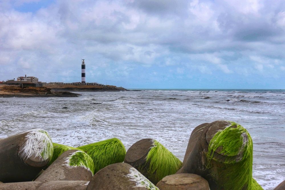 Photograph by Aastha Vyas