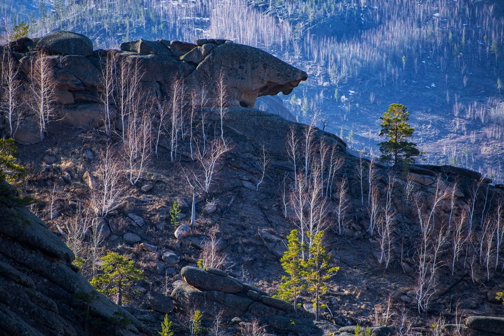 Photograph by Евгений Дроботенко