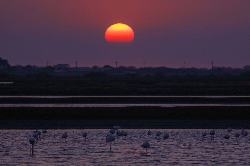 Photograph by Aastha Vyas