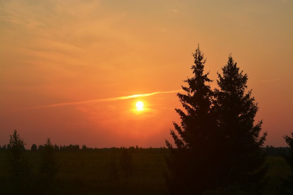 Photograph by Ксения Лебедева