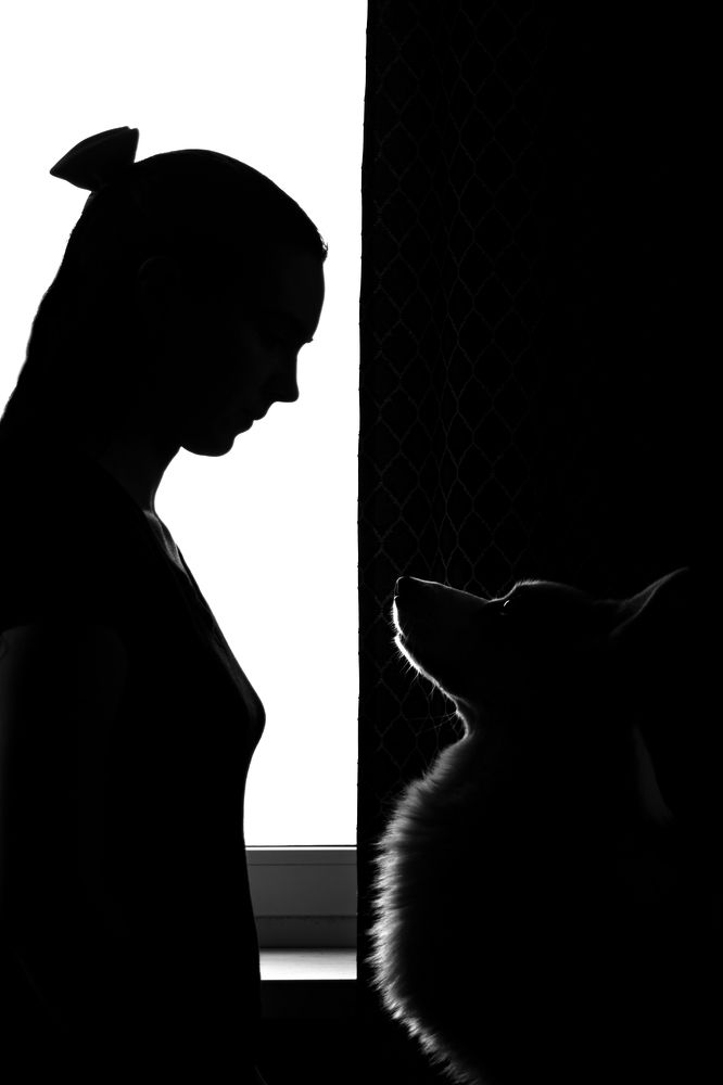 Фотография автора Алена Ковалёва