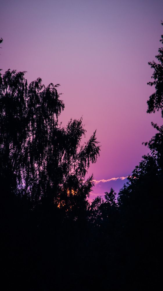 Photograph by Сергей Герасимов