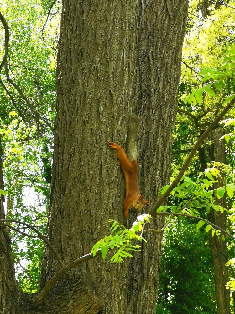 Photograph by Анастасия Бреева