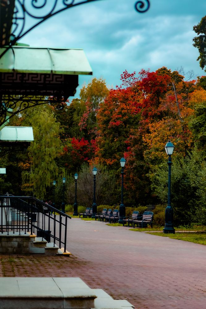 Photograph by Сергей Аникушин