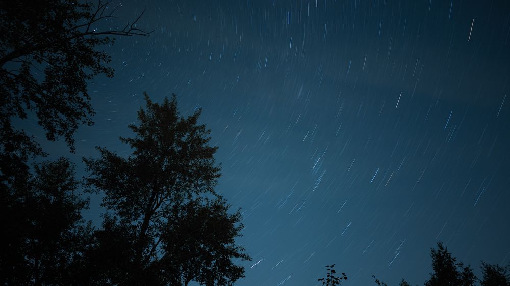 Photograph by Виталий Бжицких