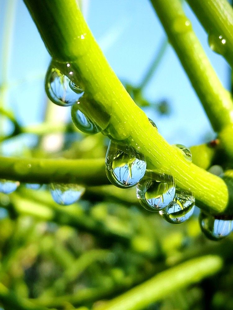 Photograph by Siti Nur Ain Abdullah