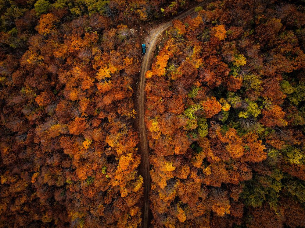 Фотография автора NECMETTİN SOBUTAY