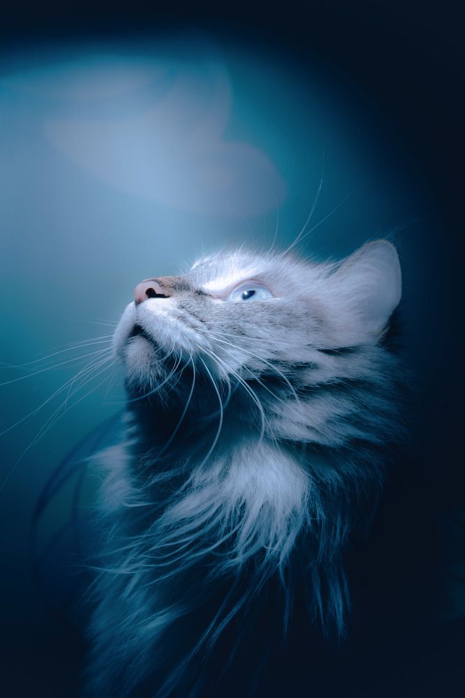 Photograph by Станислав Брисач