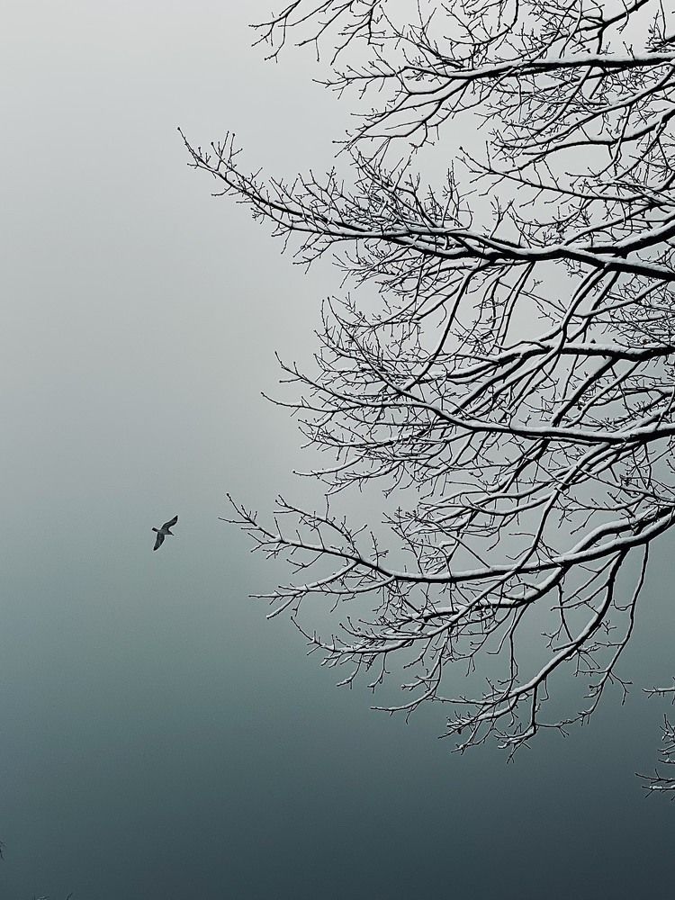 Photograph by Veronika Vilima