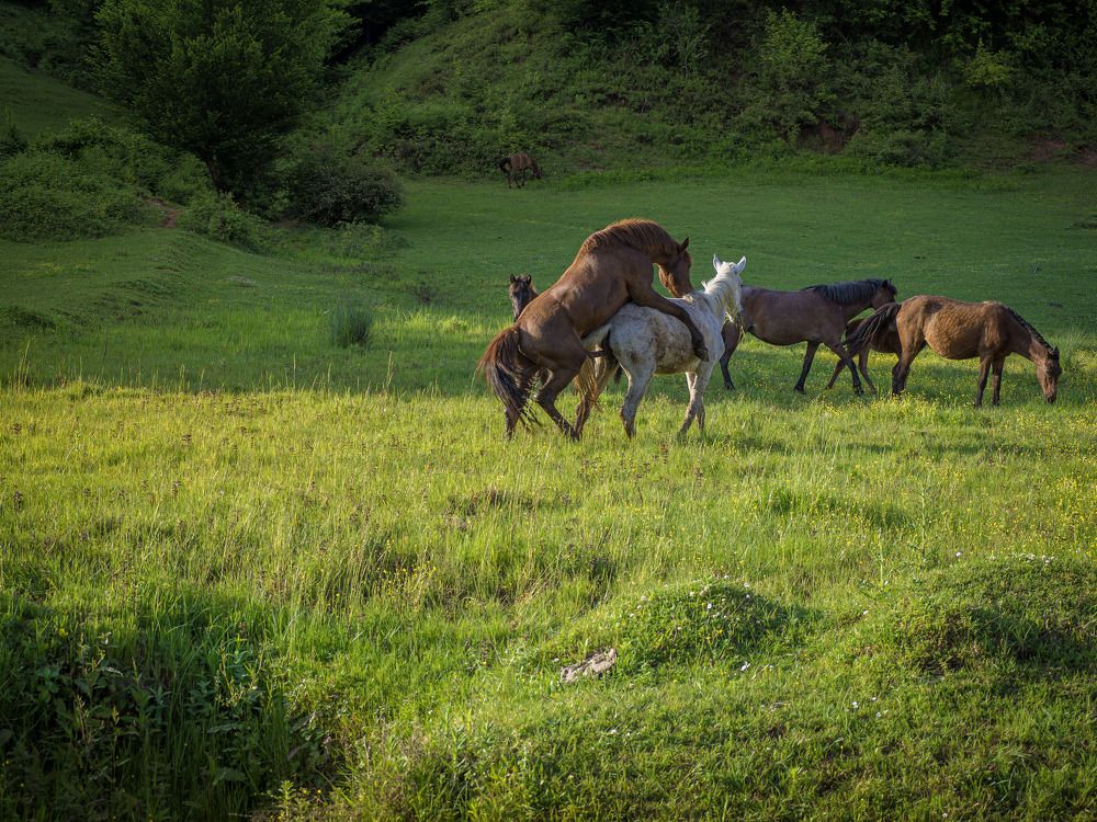 Фотография автора NECMETTİN SOBUTAY