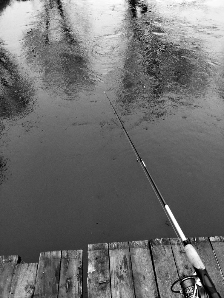 Photograph by Ольга Мартьянова