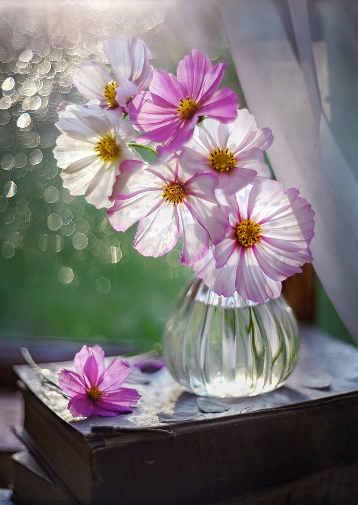 Букетик космеи