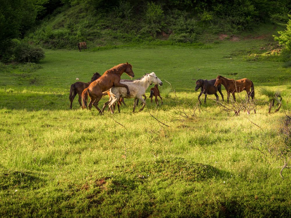 Фотография автора NECMETTİN SOBUTAY