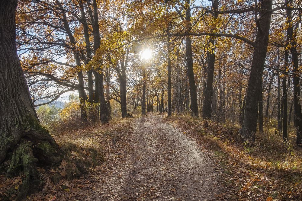 Photograph by Елена Ворошина