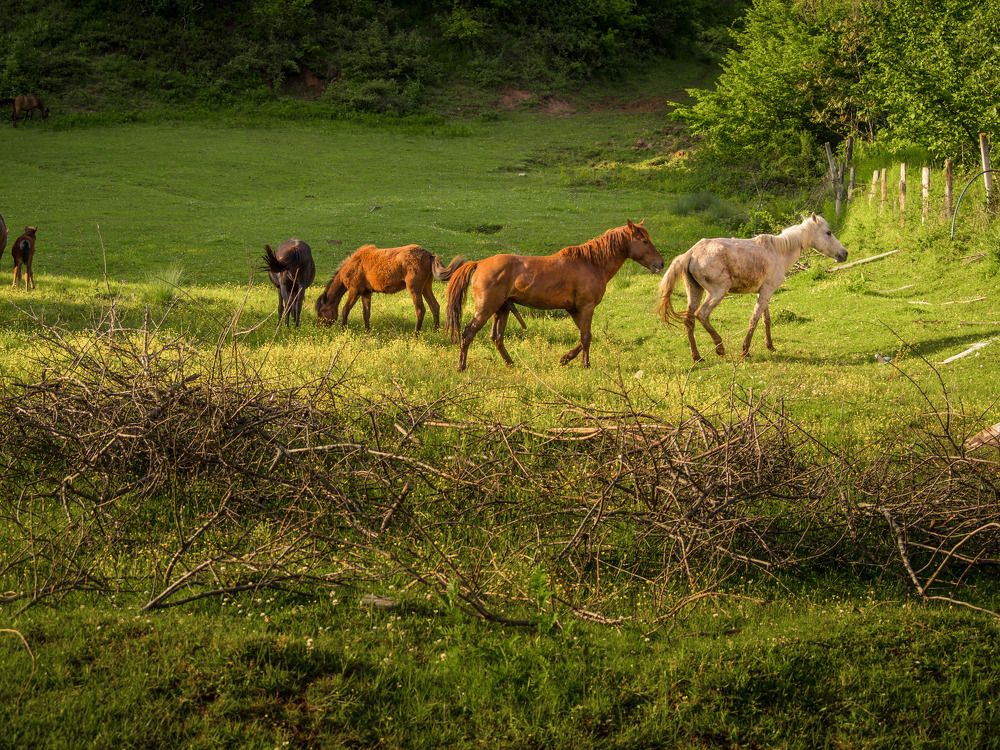 Фотография автора NECMETTİN SOBUTAY