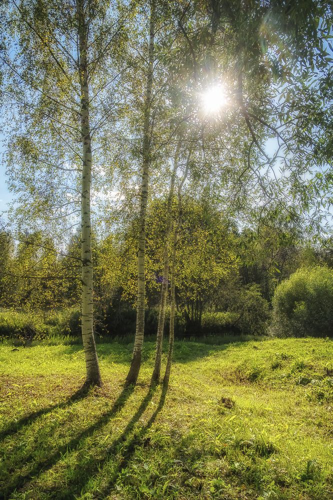 Photograph by Елена Ворошина