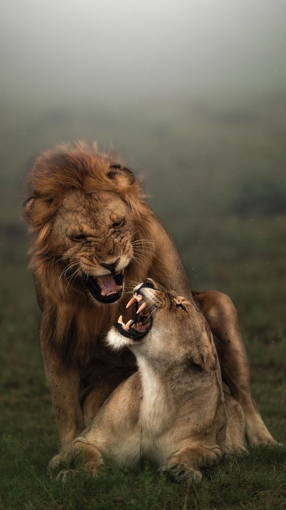 Photograph by venkateshwar govindaraj