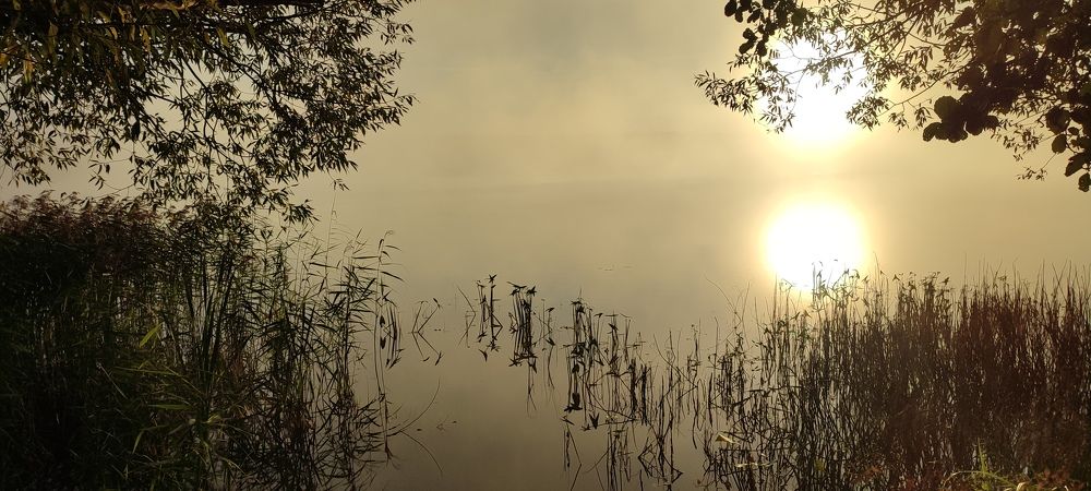 Photograph by Григорий Полосин