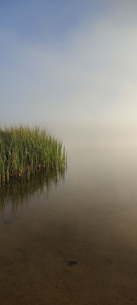 Photograph by Григорий Полосин